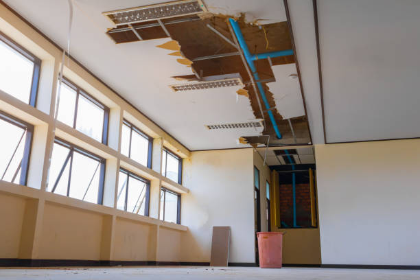 Best 24/7 water damage repair  in Stanley, VA