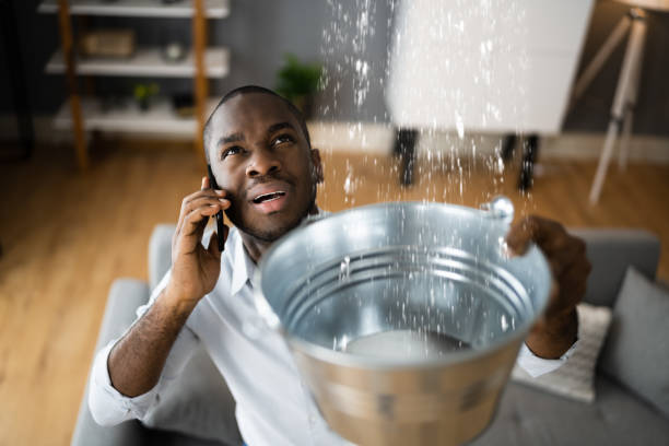 Best Professional water damage repair  in Stanley, VA