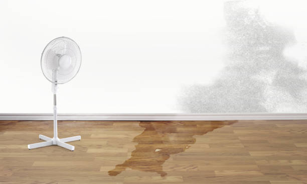 Best Water damage restoration company  in Stanley, VA