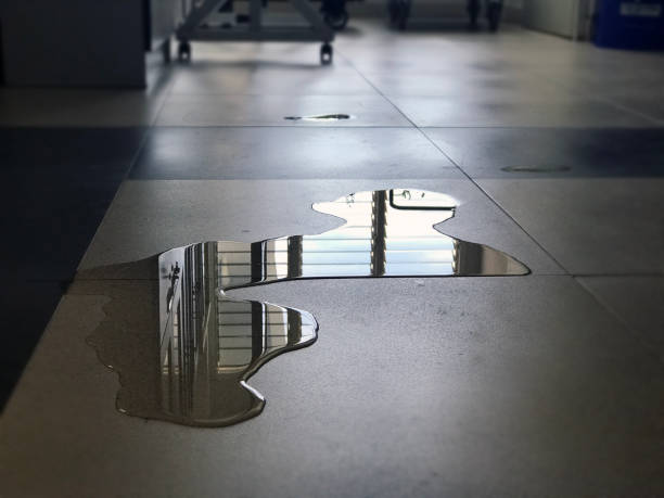 Best Water damage restoration services  in Stanley, VA