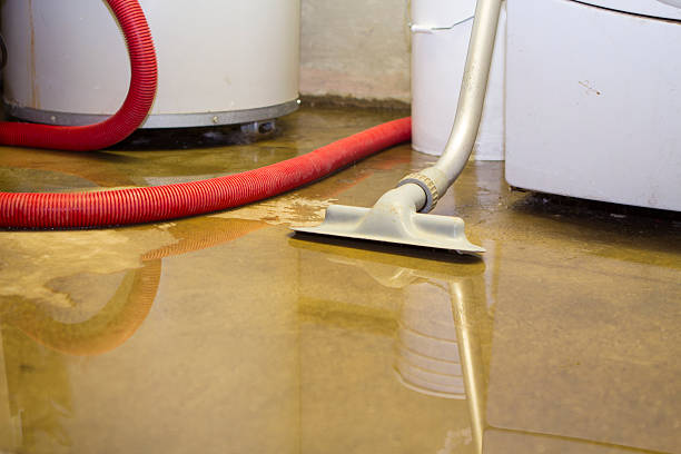 Best 24-hour water damage restoration  in Stanley, VA