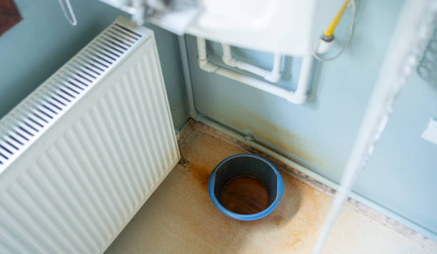 Best Ceiling water damage repair  in Stanley, VA
